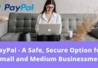 PayPal - A Safe, Secure Option for Small and Medium Businessmen