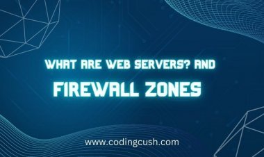 What are Web Servers and Firewall Zones?