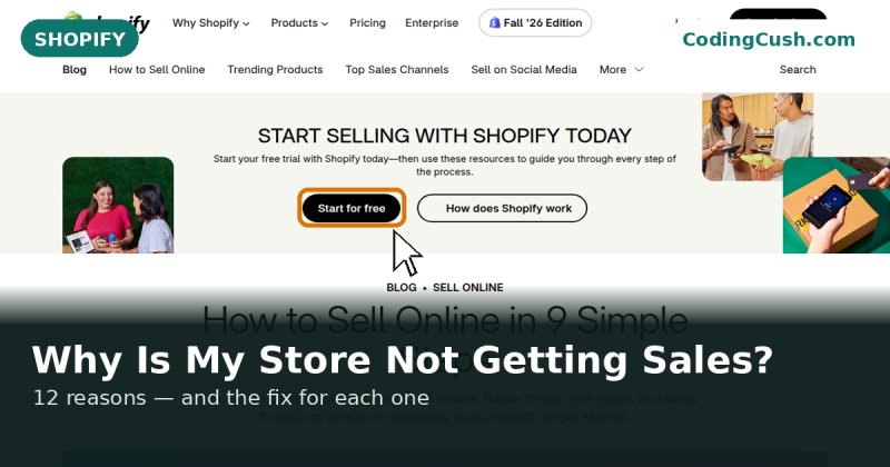 Why Is My Shopify Store Not Getting Sales? 12 Reasons and Fixes