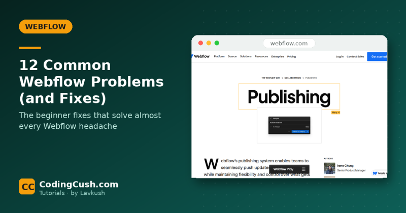 12 Common Webflow Problems and How to Fix Them (Beginner Guide)