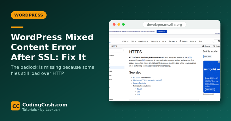 Mixed Content Error in WordPress After Installing SSL: How to Fix It