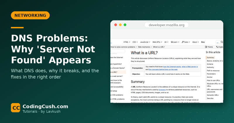 DNS Problems: Why "Server Not Found" Appears and How to Fix It