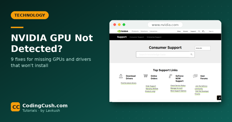 NVIDIA GPU Not Detected or Driver Not Installing? 9 Fixes