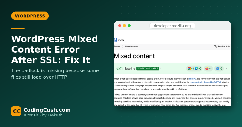 Mixed Content Error in WordPress After Installing SSL: How to Fix It