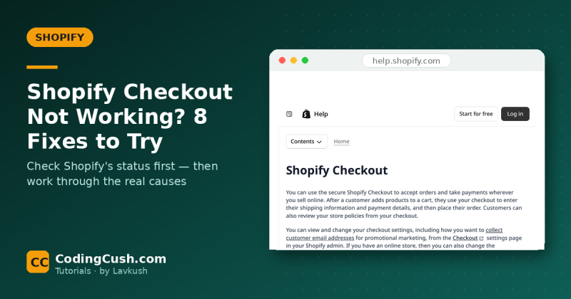 Shopify Checkout Not Working? 8 Fixes to Try Before You Panic