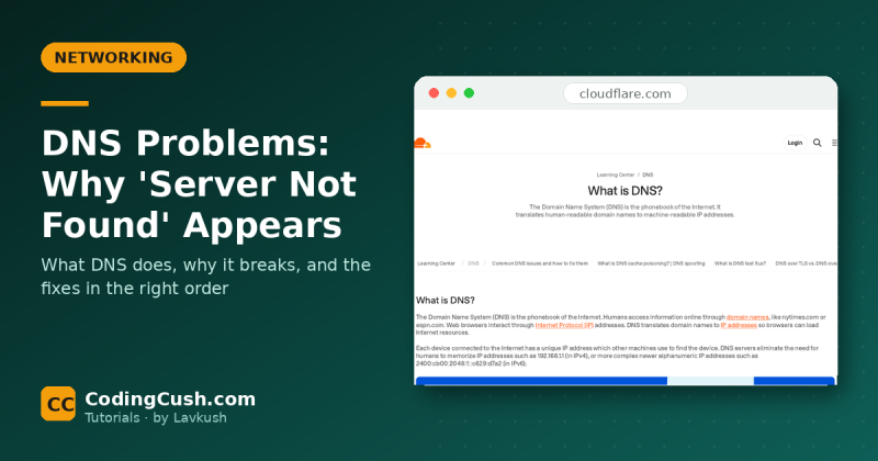 DNS Problems: Why "Server Not Found" Appears and How to Fix It