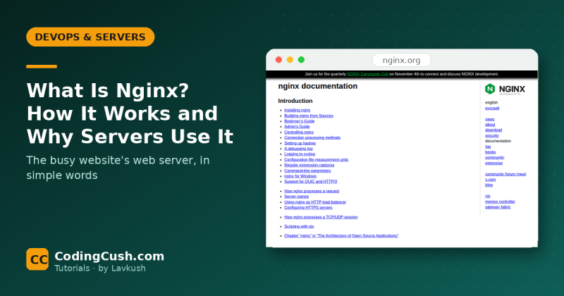 What Is Nginx? How It Works and Why So Many Servers Use It